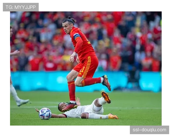 威尔士语言文化独特塑造民族精神足球成为认同与自豪的重要象征 威尔士语言文化独特塑造民族精神足球成为认同与自豪的重要象征