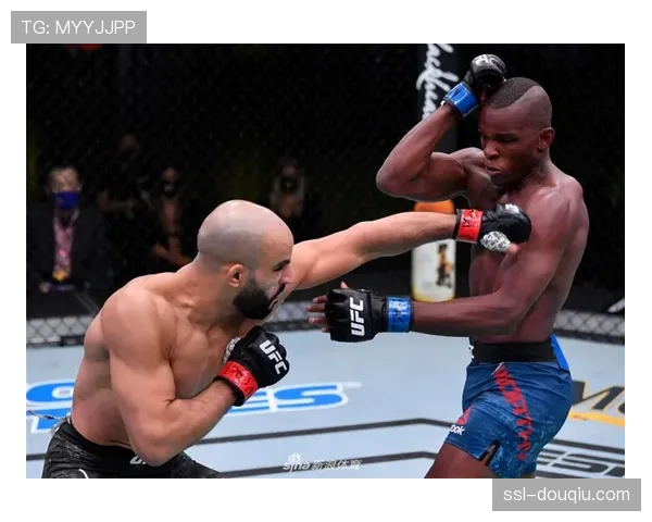 UFC 300佩雷拉带伤KO希尔，冠军韧性彰显