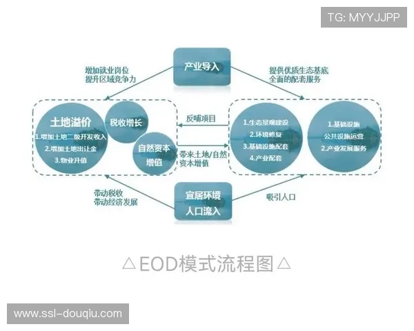体育付费内容与免费转播需科学划分，避免内部竞争消耗