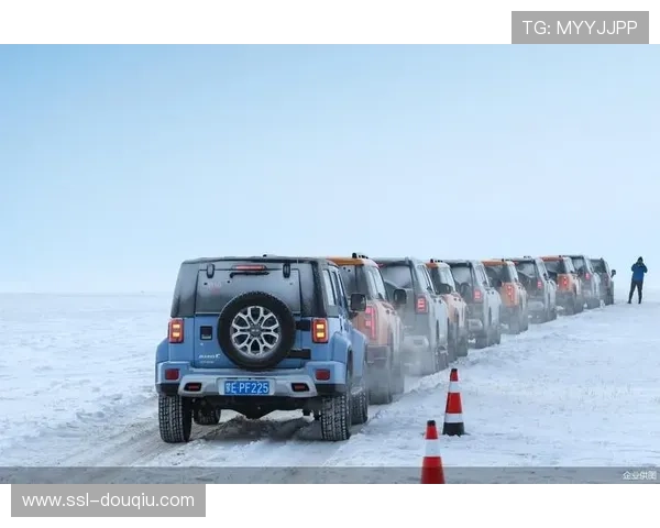 冰雪产业报告：钢架雪车装备销量同比增长20%